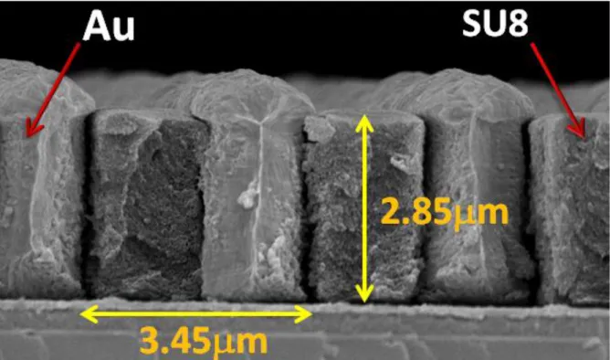 Fig. 1. SEM picture of the stopping mask on a Silicon substrate. 