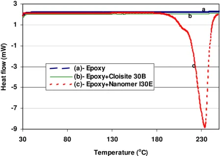 Figure 3.  DSC curves of neat epoxy resin and epoxy-clay mixtures in the absence of hardener