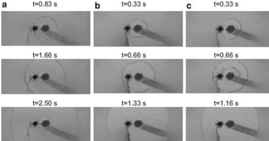 Fig. 3 Eﬀect of the injection ﬂow rate, Q, on the ﬂow-front shape during ﬁlling for the 0.015% by weight solution of PAA (5–6 · 10 6 g mole ) 1 ), in the mixture of corn syrup (95%) and water (5%):