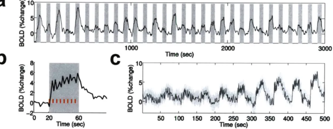 Figure  8.  BOLD  responses  to the  multiple frequency  stimulus protocol