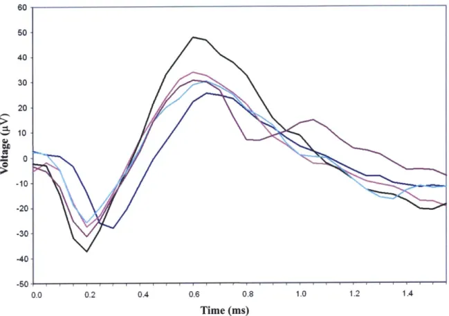 Figure 2-3.  Plot of neural spikes  intracortically recorded from the motor cortex  of a monkey  [8,111.