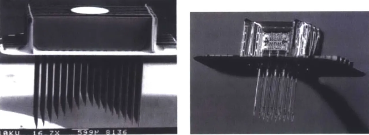 Figure 2-5.  Images  of microelectrode  arrays that were  manufactured using  silicon  micromachining.