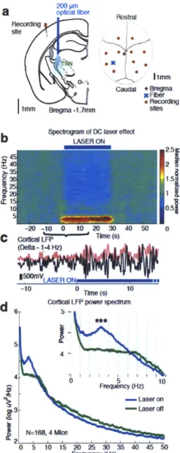 Figure  3.1:  Tonic  optogenetic  stimulation  of  thalamic  reticular  neurons  produces delta  waves  in  ipsilateral  somatosensory  cortex