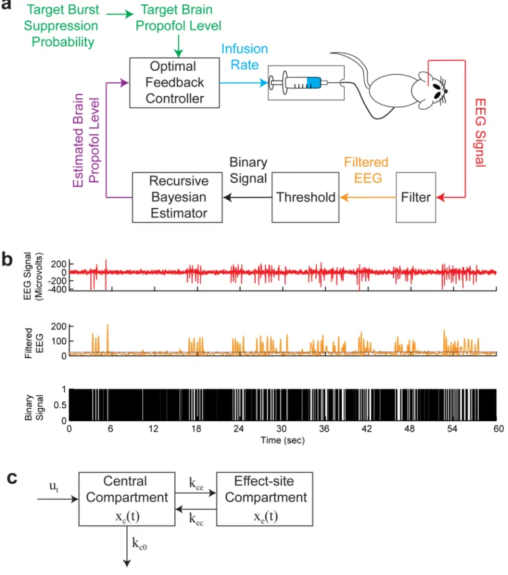 Figure 1. The BMI system. (a) The BMI records the EEG, segments the EEG into a binary time-series by filtering and thresholding, estimates the BSP or equivalently the effect-site concentration level based on the binary-time series, and then uses this estim