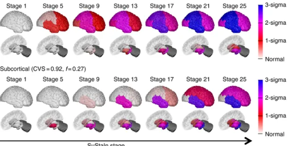 Figure 4: Demonstration of our software for showing the temporal progression of pathology, as a sequence of snapshot at di ff erent stages
