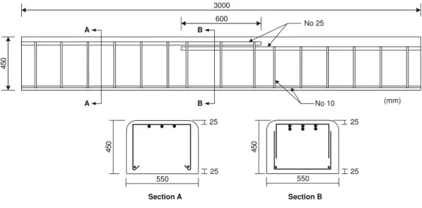Figure 4. Specimen dimensions.  