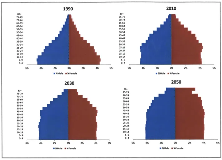Figure 6: Population  age pyramids from the Brazilian  2008  IBGE's Census (Revised  in 2010) Source: