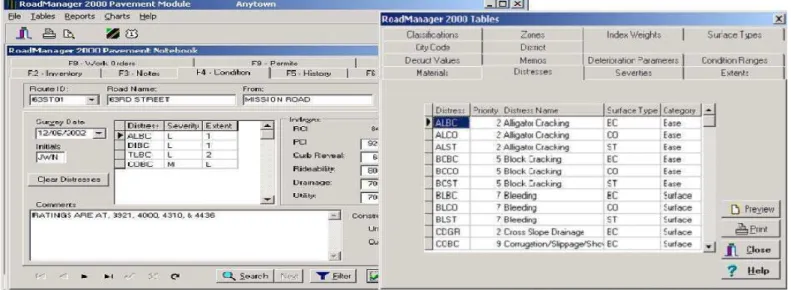 Figure 6. Sample screens from RoadManager showing the Pavement module notebook and table options