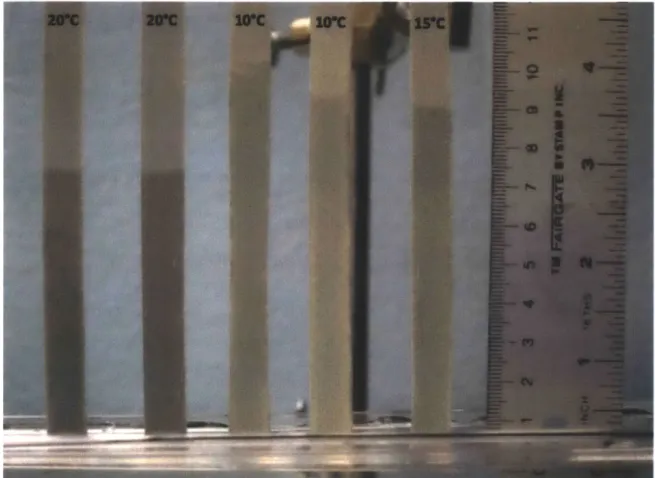 Figure  4-3:  Constant  Voltage  90V,  and  maximum  capillary  height.  30  minutes after  immersed  into the  water.