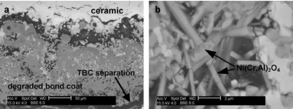 Fig. 11. TBC failed after 299 h in low-pressure condition, after sintering of ceramic coat (a) and degradation of bond coat (b) occurred