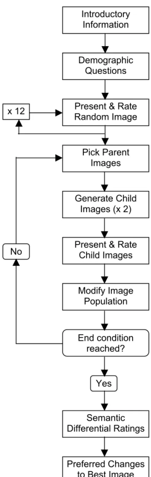 Figure 3.  Overall flow diagram of software used in experiment