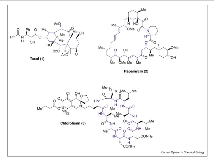 Figure 1 HN HN NH HN CONH 2OOOMeMeMeONH NHO MeNHHNMeOOMeOHMeOMeNHOMeNOOOHClOMeOMeOCONH26Chlorofusin (3)BzOAcOMeOOONHOOHPhPhOMeHOHAcOMeMeHOMeMeOOMeOHMeMeOOMe OMeOHOMeOMeONOOHH HOMeHTaxol (1)Rapamycin (2)