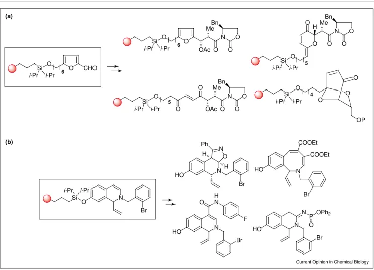 Figure 4 O O O O HO HO OHHOHOHOOOOHOHOHO OHOOHHO O O OHOHOH Si Oi-pri -pr Ph NO Br Br Si Oi-pri -pr Ph NONatural Product- Pterocaryanin C (6) (a) (b)(c)(d)