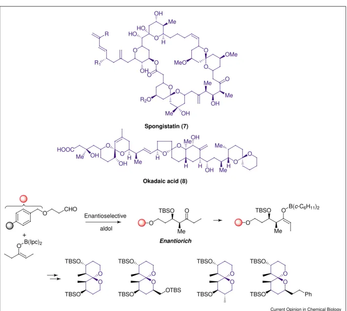 Figure 5 R 1 OOO O O MeOOO OHMe MeR2OOHORHOHOOH MeH MeO OMeOH HOOC O Me OH O OH H OMe O Me H O OH MeH OOHHMeHSpongistatin (7)  Okadaic acid (8) O CHO O B(Ipc) 2 O TBSO Me O O TBSO Me O B( c -C 6 H 11 ) 2 O OTBSO TBSO OOTBSOTBSO OTBS OOTBSOTBSO OOTBSOTBSO P