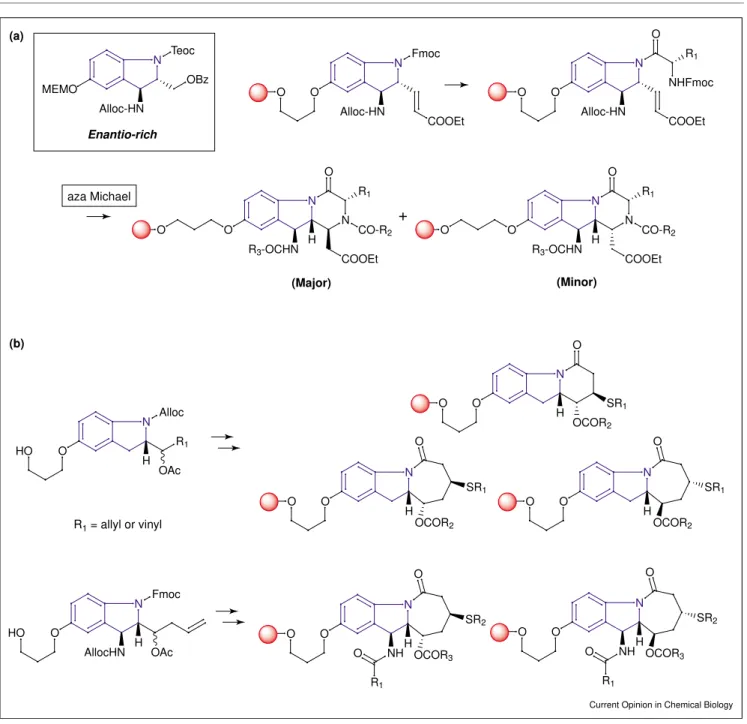 Figure 6 N O AllocR 1 H OAcHO NOO O OCOR 2H SR 1 AllocHN NO FmocOAcHOH NOOH O SR 1OCOR2 NOOH O SR 1OCOR2NOOHOSR2 OCOR 3NH R 1O NOOH O SR 2OCOR3NHR1OR1 = allyl or vinylR3-OCHNNOCOOEtNOR1HCO-R2OAlloc-HNNMEMOTeocOBzAlloc-HNNOFmocCOOEtOAlloc-HNNOCOOEtNHFmocOR1