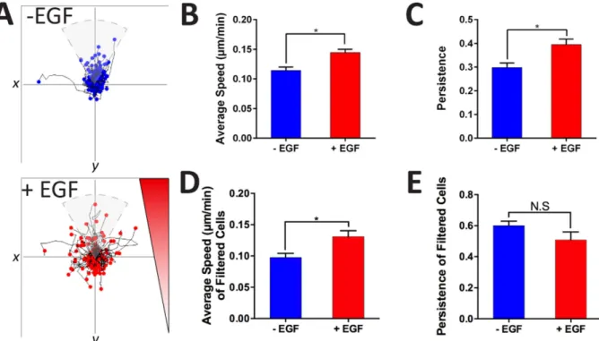 Figure 7.  Time-lapse analysis of individually invading cells between 72 h and 96 h of EGF addition