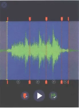 Figure 9 - Example  blocks  for audio assets.
