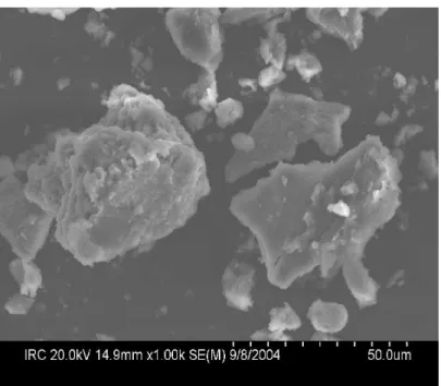 Fig. 5 The SEM micrographs of two separate phases in a model C-S-HPN material: intercalated (left)  and exfoliated (right) C-S-HPN material, magnification is 2000x.