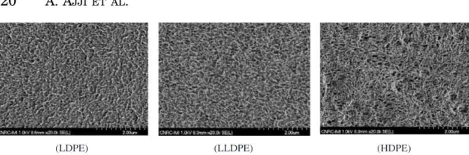 Figure 5. Typical micrographs of biax 4  4 films.