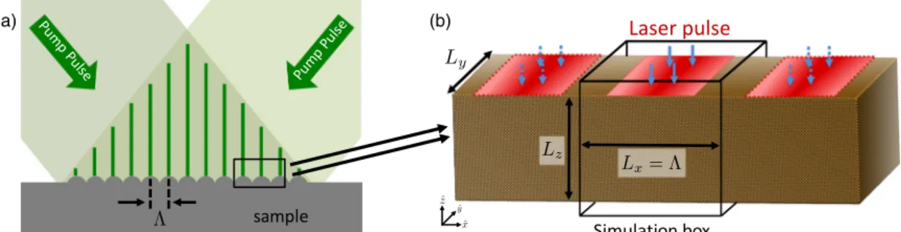 FIG. 1. Schematic of the induced surface excitation in experiment (a) and simulation (b)