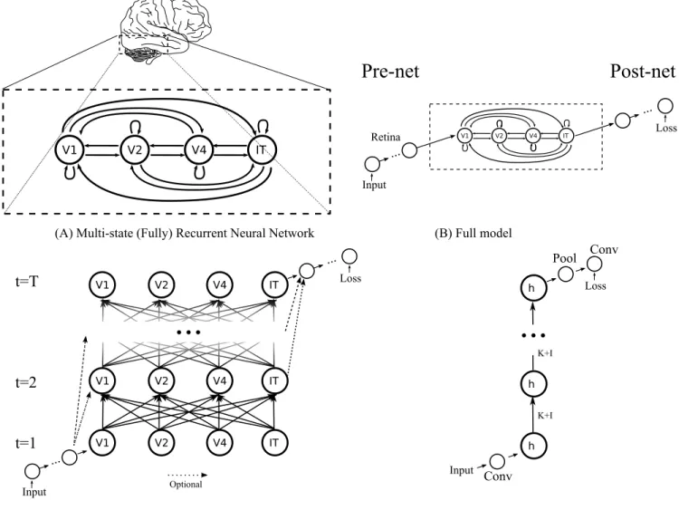 Figure 2: Modeling the ventral stream of visual cortex using a multi-state fully recurrent neural network