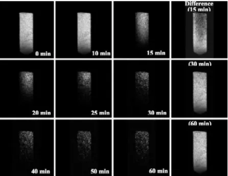 Figure 4 shows results of a microimaging experiment on CO 2 hydrate formation in silica gel pores