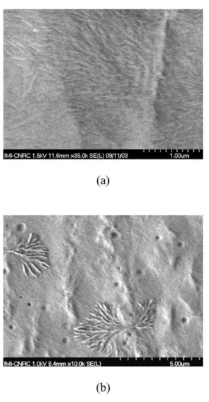 Fig. 8. Orientation functions obtained from X-ray (open symbols) and from FT-IR (filled symbols, c-axis only) for the PP-1 components in blends and 5-layer films.