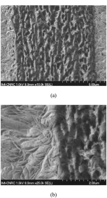 Fig. 11. Interfacial morphology of PE/PP-1 multilayer film to different magnifications.