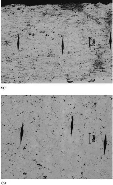 Fig. 8 Knoop indentation impressions. (a) On the cross section of the multimodal WC-Co coating