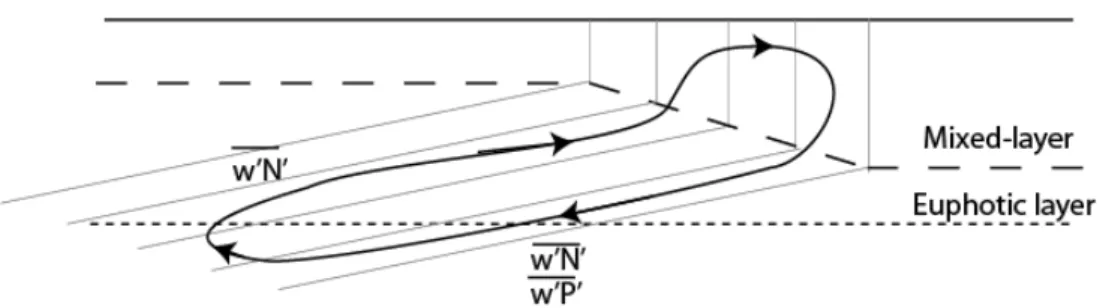 Figure 2. Schematic representation of how submesoscale advection and diffusion impacts 
