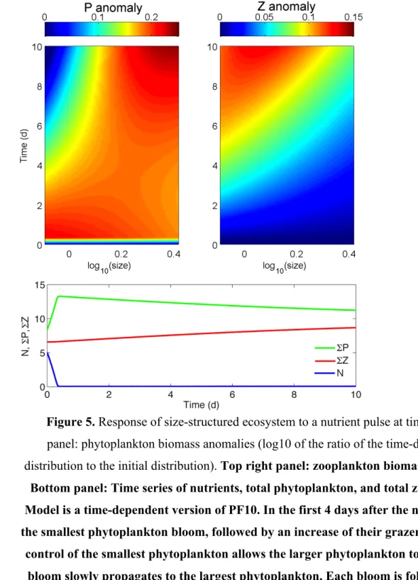 Figure 5. Response of size-structured ecosystem to a nutrient pulse at time 0. Top left 