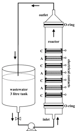 Fig. 1. Schematic representation of a single electrochemical reactor.