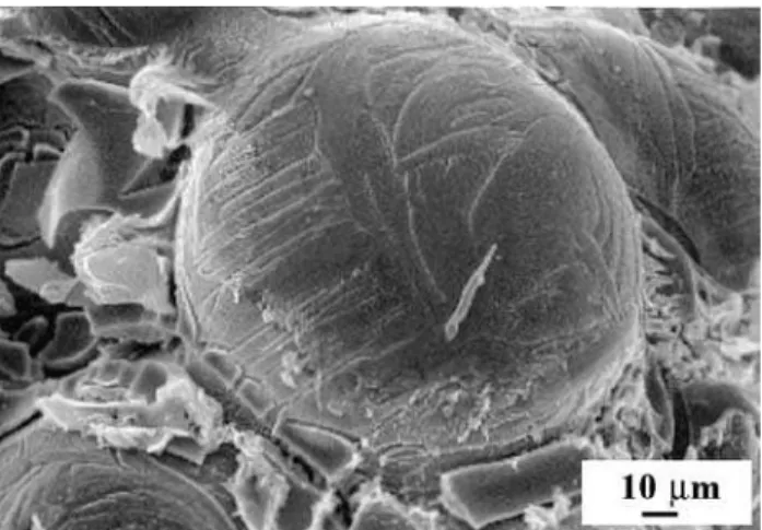 Fig. 5. High magniﬁcation SEM micrograph of the DSA  -type of anode (Ti/IrO 2 /SnO 2 /Sb 2 O 5 ).