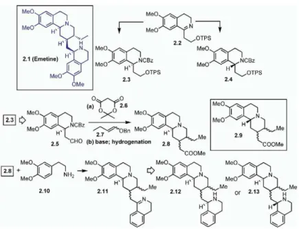 Figure 2. Application of a Domino Reaction Combined with Enantioselective  Hydrogena-tion to Obtain Emetine Analogs by Tietze and Coworkers