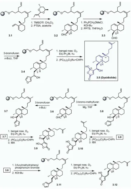 Figure 3. Waldmann and Coworkers’ Solid- Solid-Phase Synthesis of Dysidiolide-Derived  Pro-tein Phosphatase Inhibitors