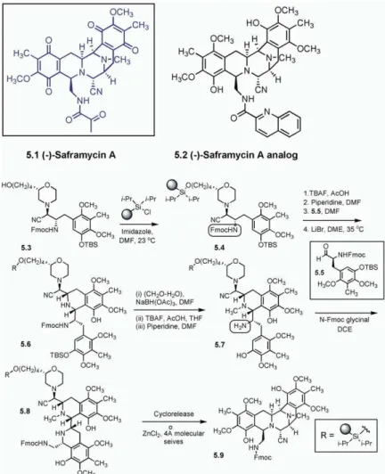 Figure 5. Myers and Coworkers’ Enantiosel- Enantiosel-ective Solid-Phase Synthesis of Saframycin Analogs