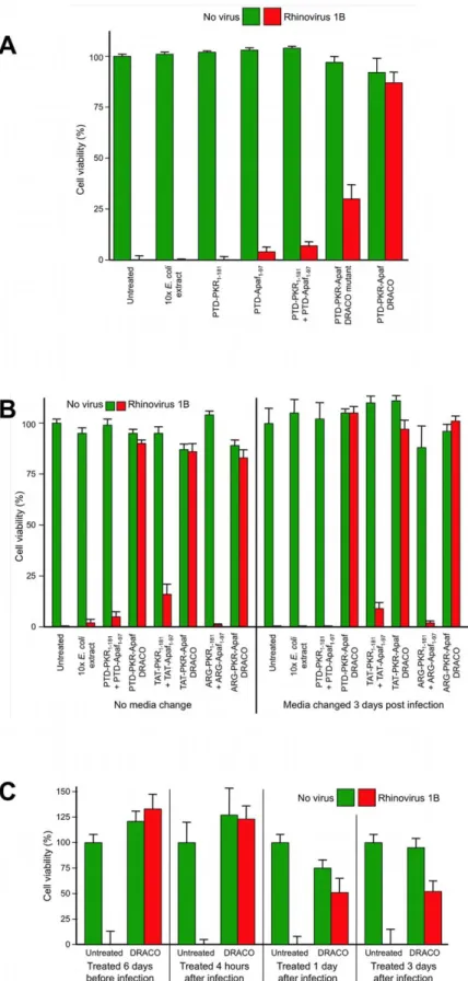 Figure 4. DRACOs were effective against rhinovirus 1B in NHLF cells. (A) 100 nM DRACO was effective against 130 pfu/well rhinovirus, whereas 100 nM negative controls were not (12 dpi)