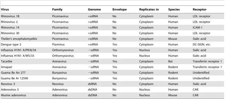 Table 2. We have demonstrated that DRACO is effective and nontoxic in a wide variety of cell types.