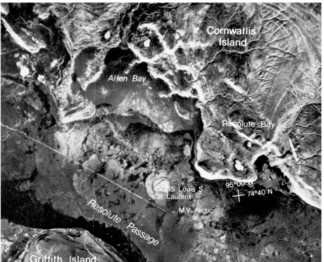 Figure 5: SAR imagery of Resolute Passage (de Bastiani 1987) 