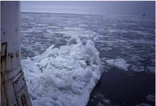 Figure 19 Ice bustle along the Yamachiche light pier 