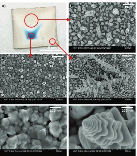 Figure 4. Demonstration of different regions of silver deposition across the face of a Ge(100) n-type wafer after 4 h, with 1.0 × 10 - 3 M AgNO 3 
