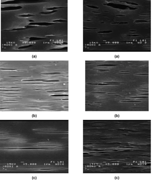 Fig. 6. Morphology of roll-drawn blends at several draw ratios (R A ). Left column: 10 wt% mPE/PET blends (Y)