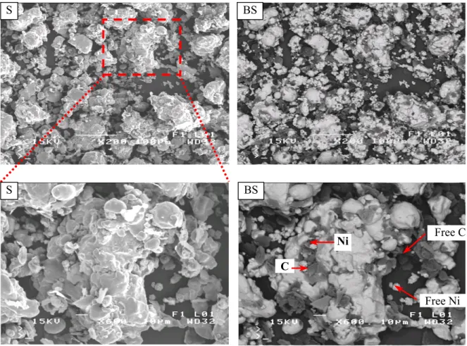 Figure 2.  SEM micrographs of particles from a regular pre-mix made of ATOMET 1001, 2% Ni, 0.85% 