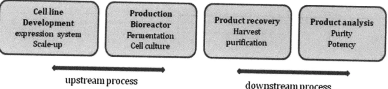 Figure  1. A simplified biomanufacturing  process.