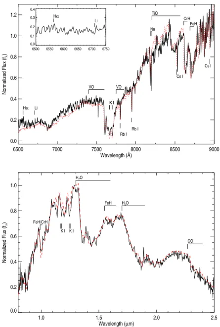 Fig. 10.— The optical spectrum of the secondary 2MASSJ0207+1355 using MagE (top plot) and IR spectrum using SpeX (bottom plot)