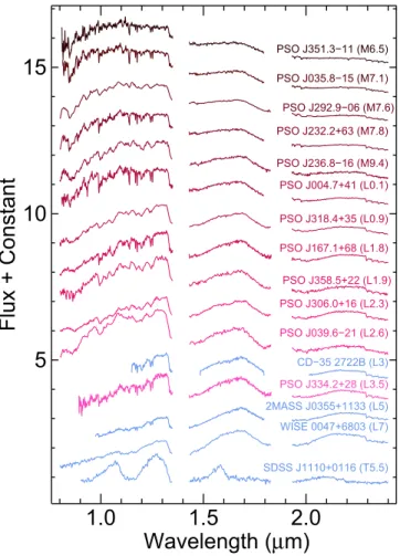 Figure 3. NIR spectra of our con ﬁ rmed young brown dwarf AB  Dor Moving Group candidates (shades of red) in addition to the four known brown dwarf members ( blue ) with publicly available spectra: CD-35  2722  B ( Wahhaj et al