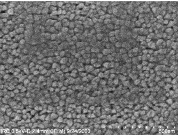 Fig. 4. Scanning electron micrograph of an STF40 thin film deposited by PLD.