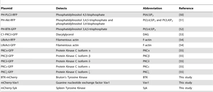 Table 1. Imaging constructs used in this study.