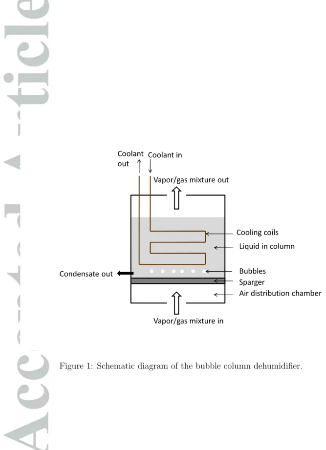 Figure 1: Schematic diagram of the bubble column dehumidifier.