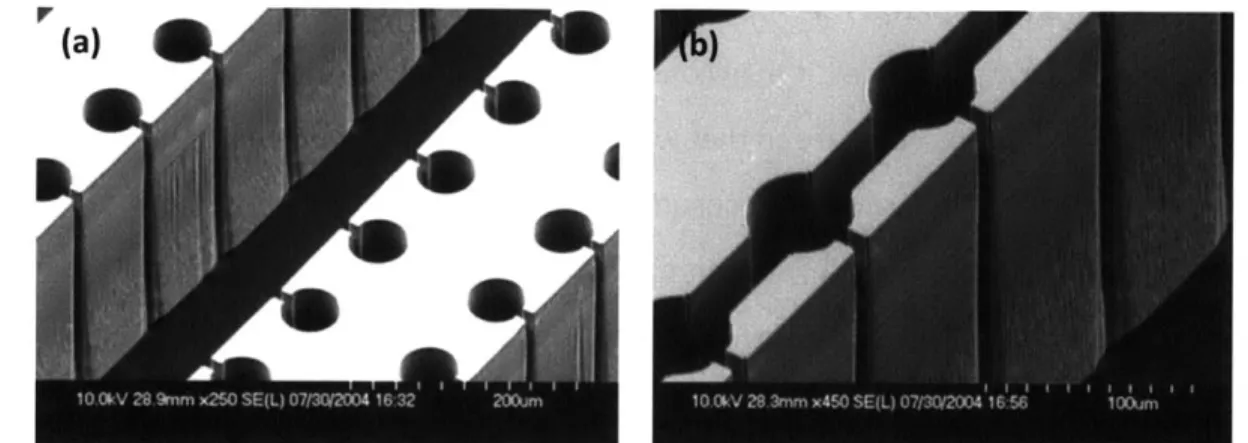 Figure  1-1 SEM  images  of microchannels with cavities. A. Kosar,  C. Kuo and  Y.  Peles,